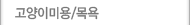 고양이미용/목욕